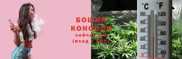 2c-b Богородицк