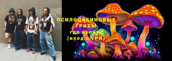 прущая мука Богданович